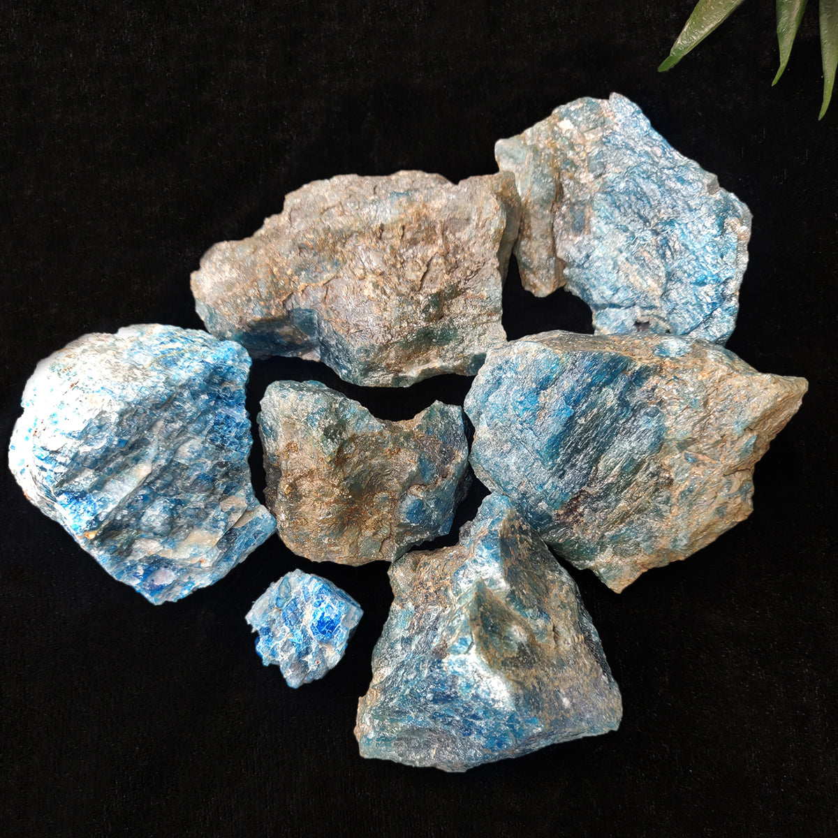 Blue Apatite Rough Raw Stone