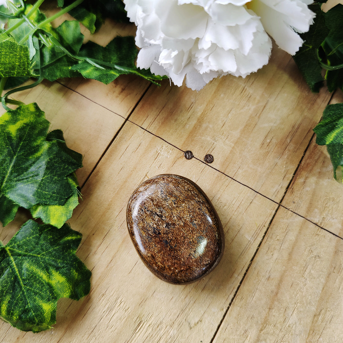 Bronzite Palm Stone