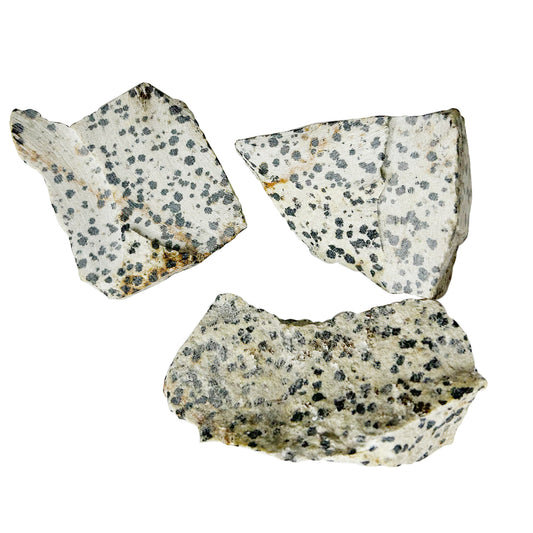 Dalmatian jasper Rough Raw Stone