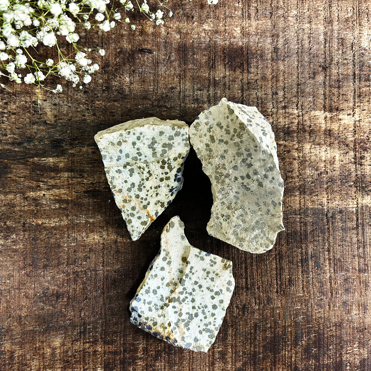 Dalmatian jasper Rough Raw Stone