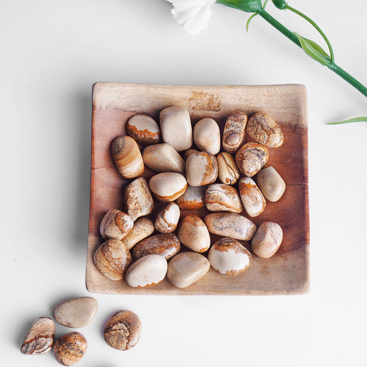 Picture Jasper Tumble