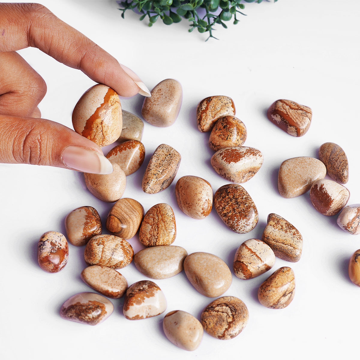 Picture Jasper Tumble