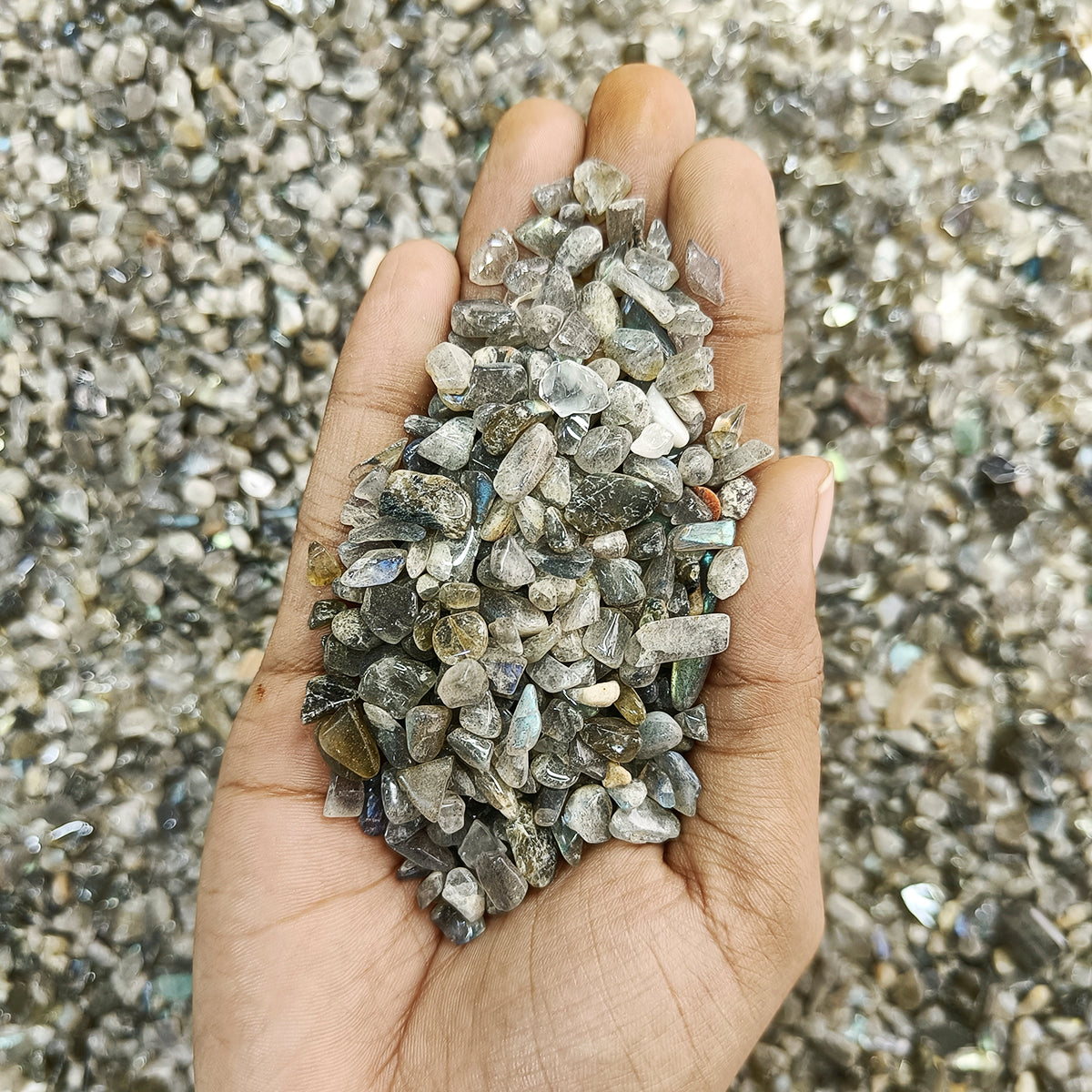 Labradorite Chips