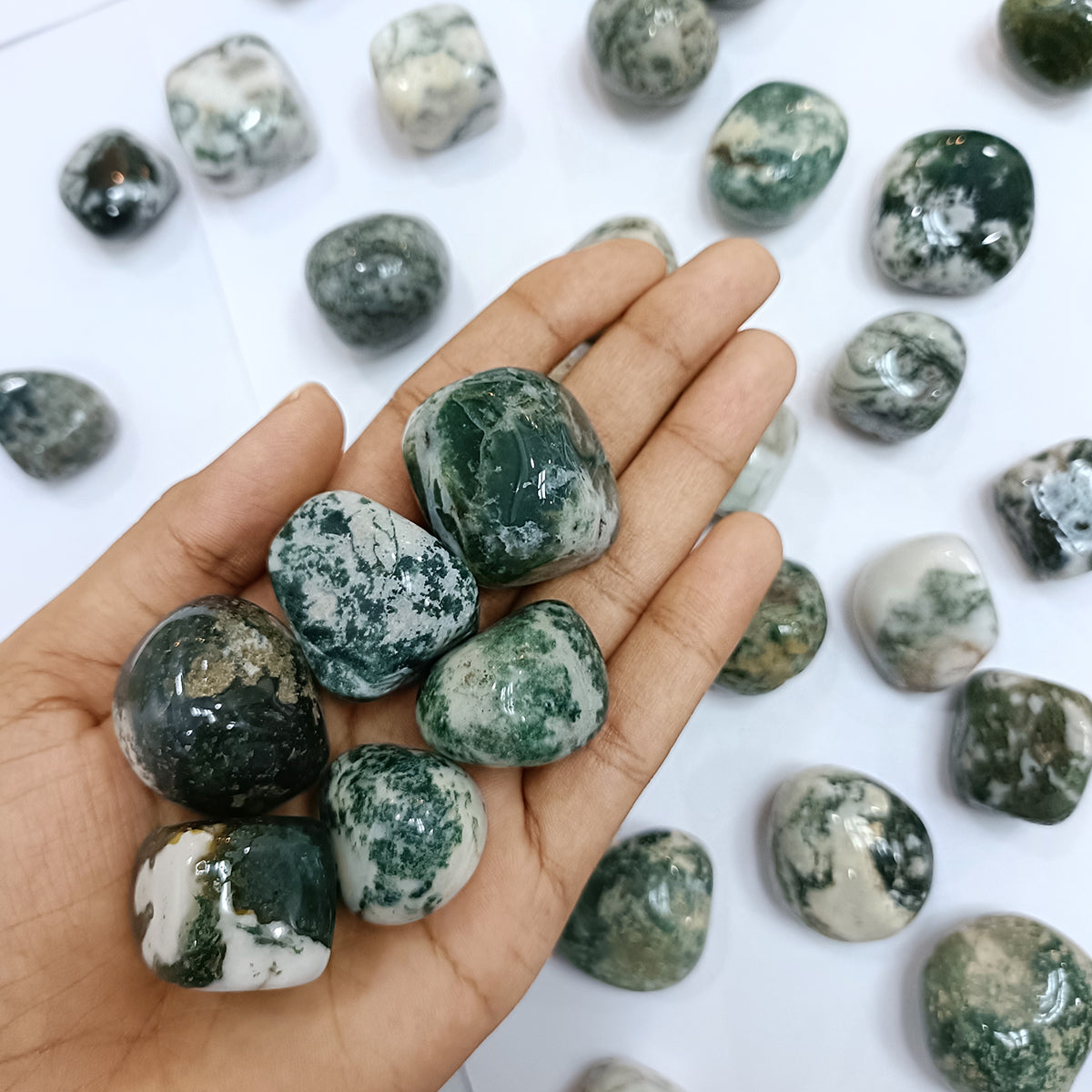 Tree Agate Tumble