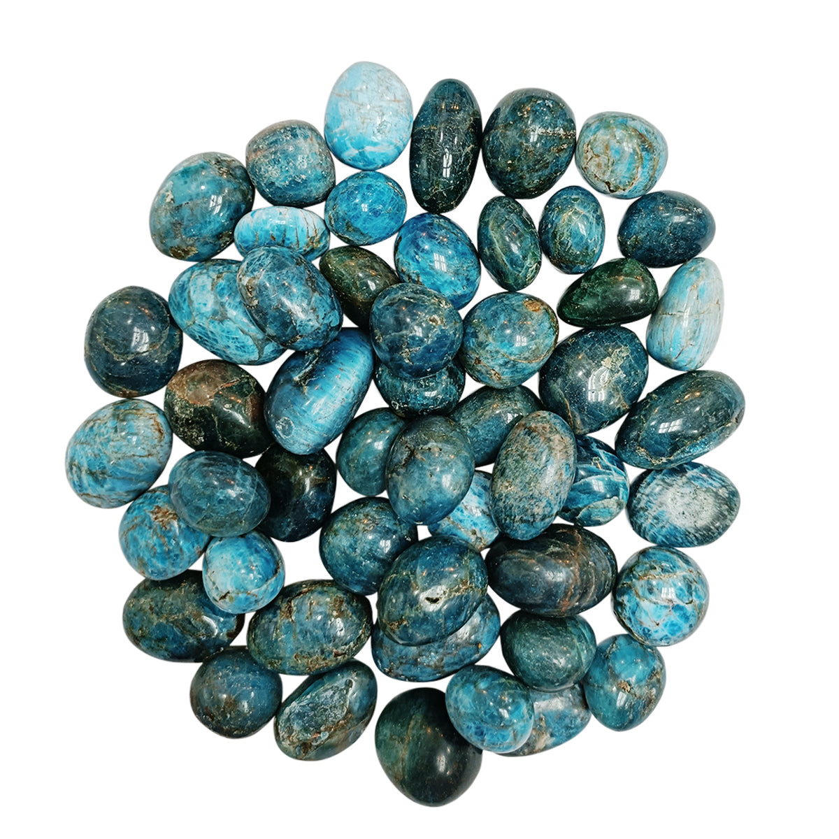 Blue Appatite Tumble