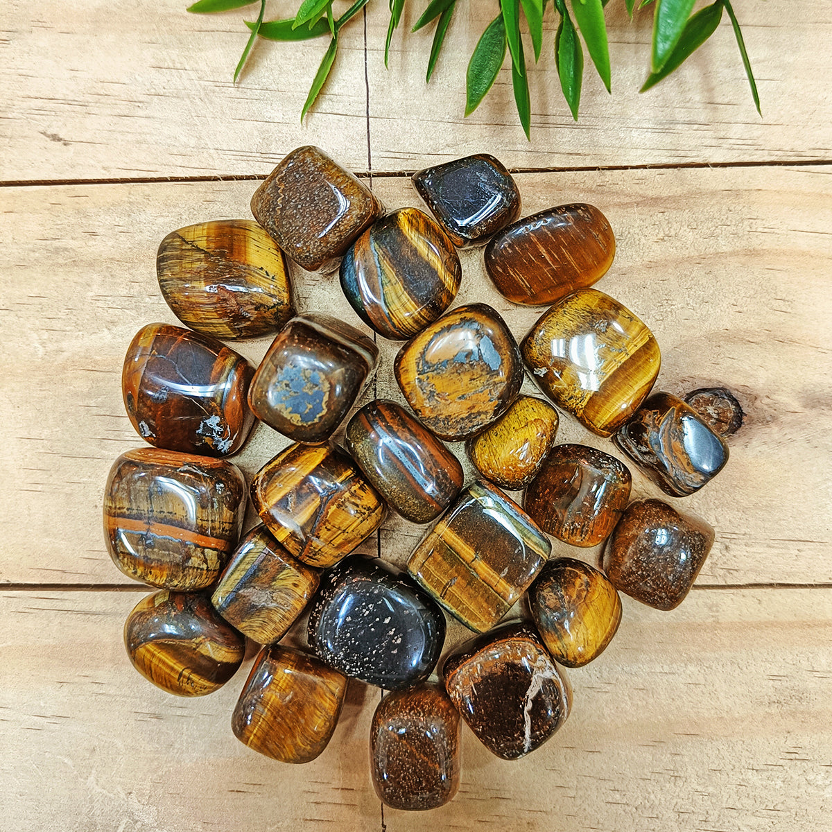 Tiger Eye Tumble