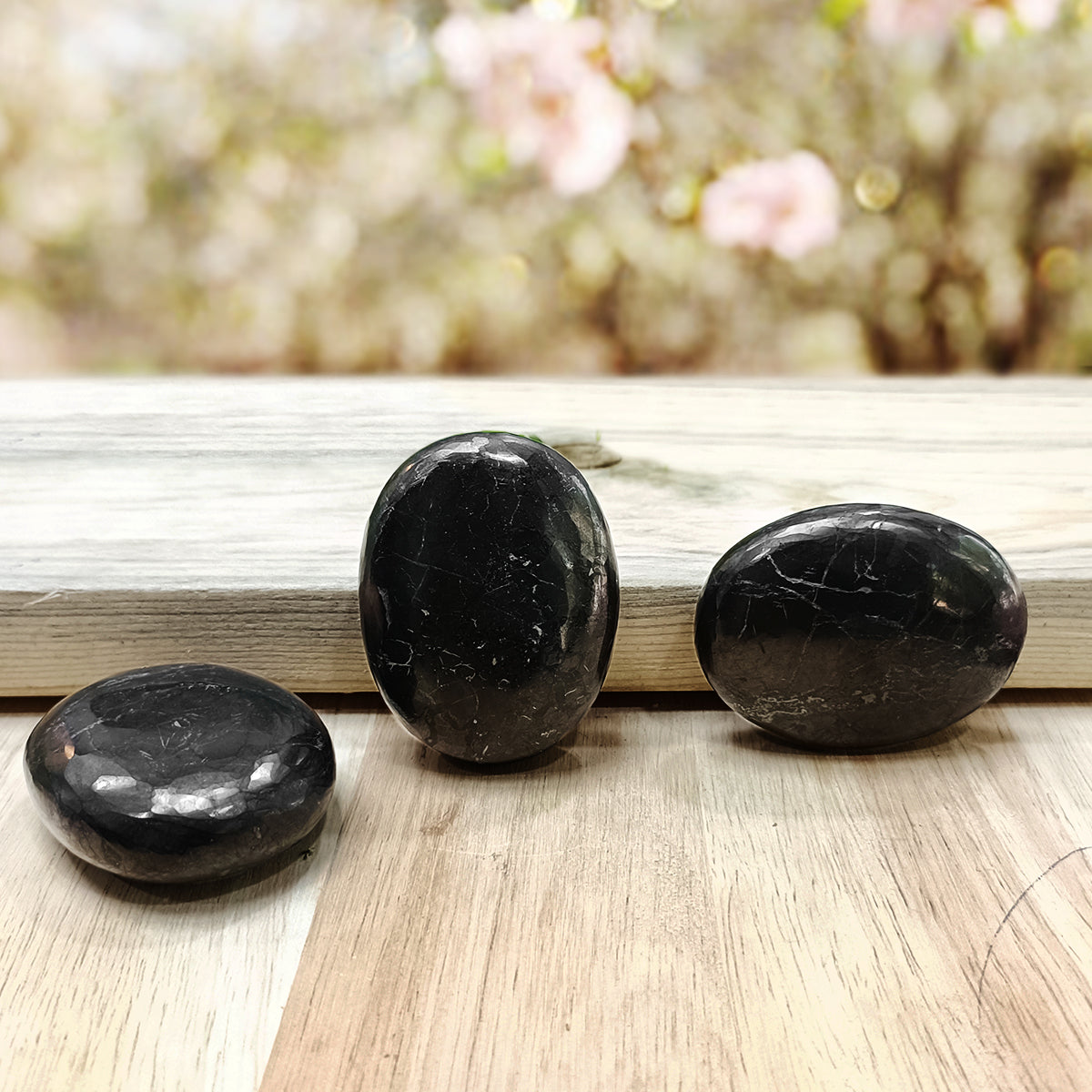 Shungite Plam Stone