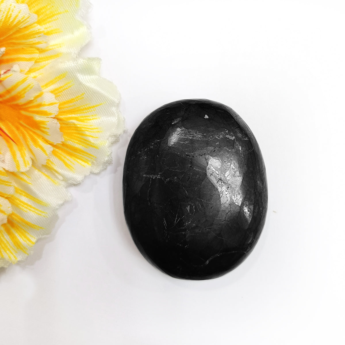 Shungite Plam Stone