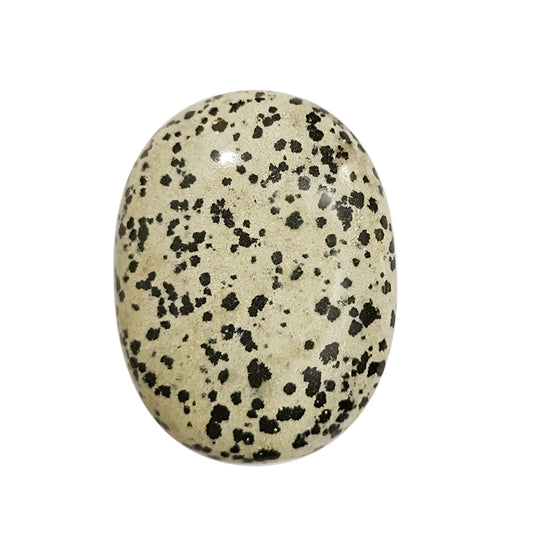 Dalmation Jasper Palm Stone