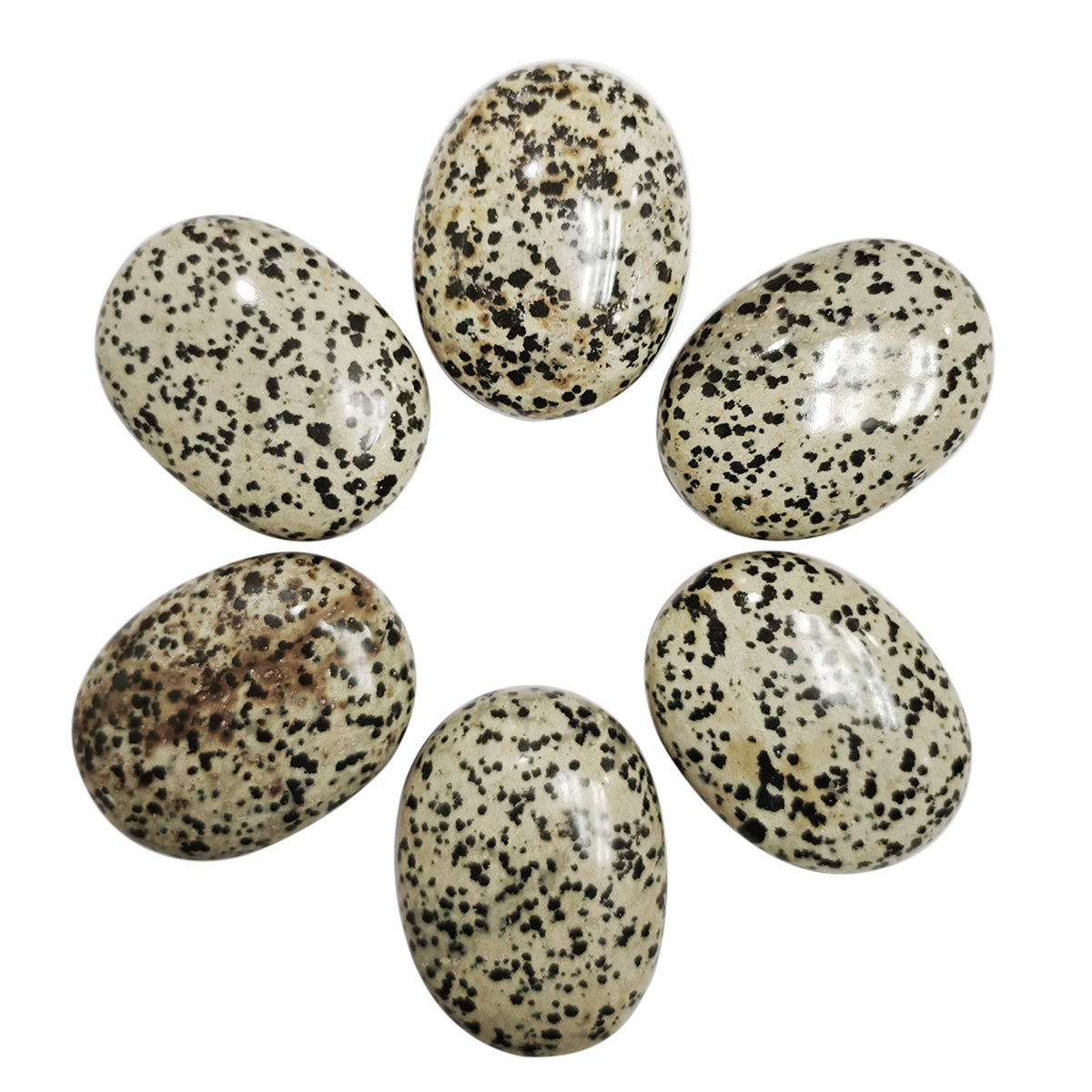 Dalmation Jasper Palm Stone