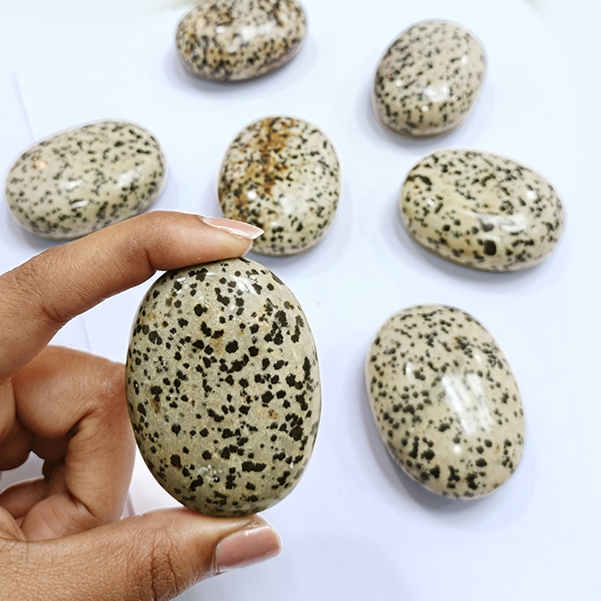 Dalmation Jasper Palm Stone