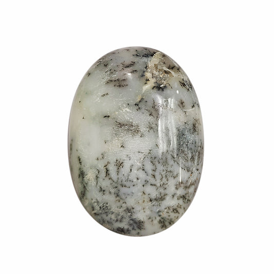 Dendrite Palm Stone