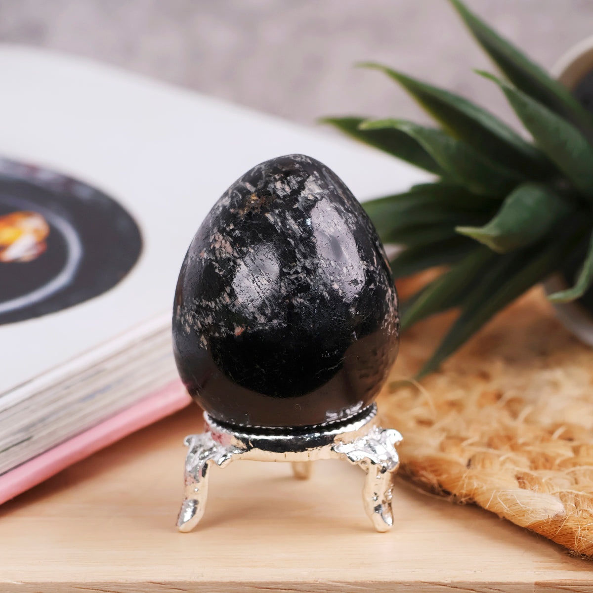 Black Tourmaline Egg