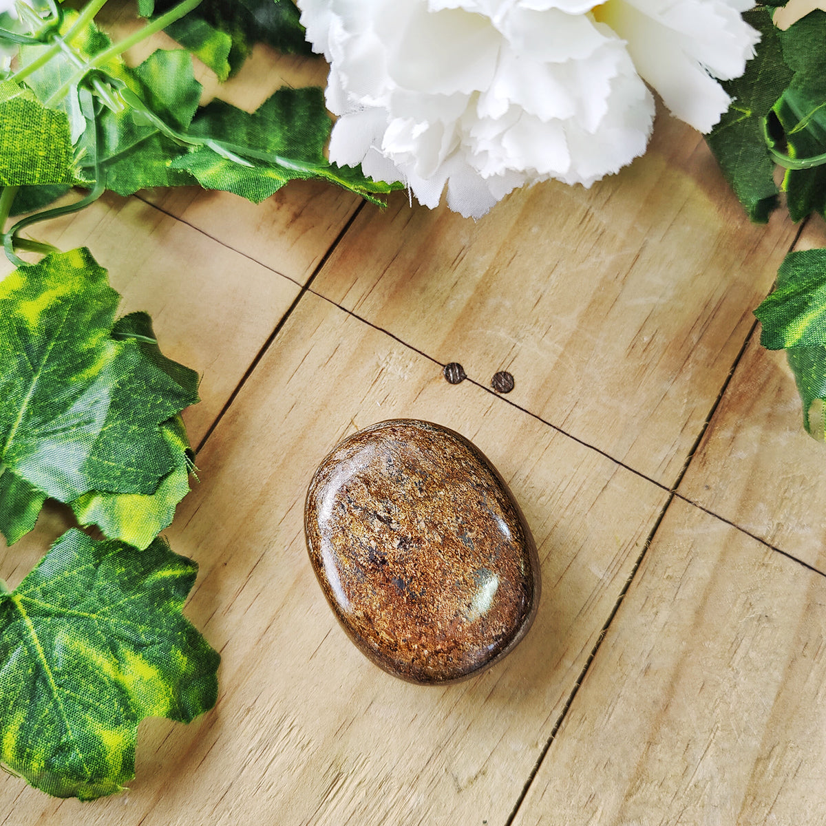 Bronzite Palm Stone