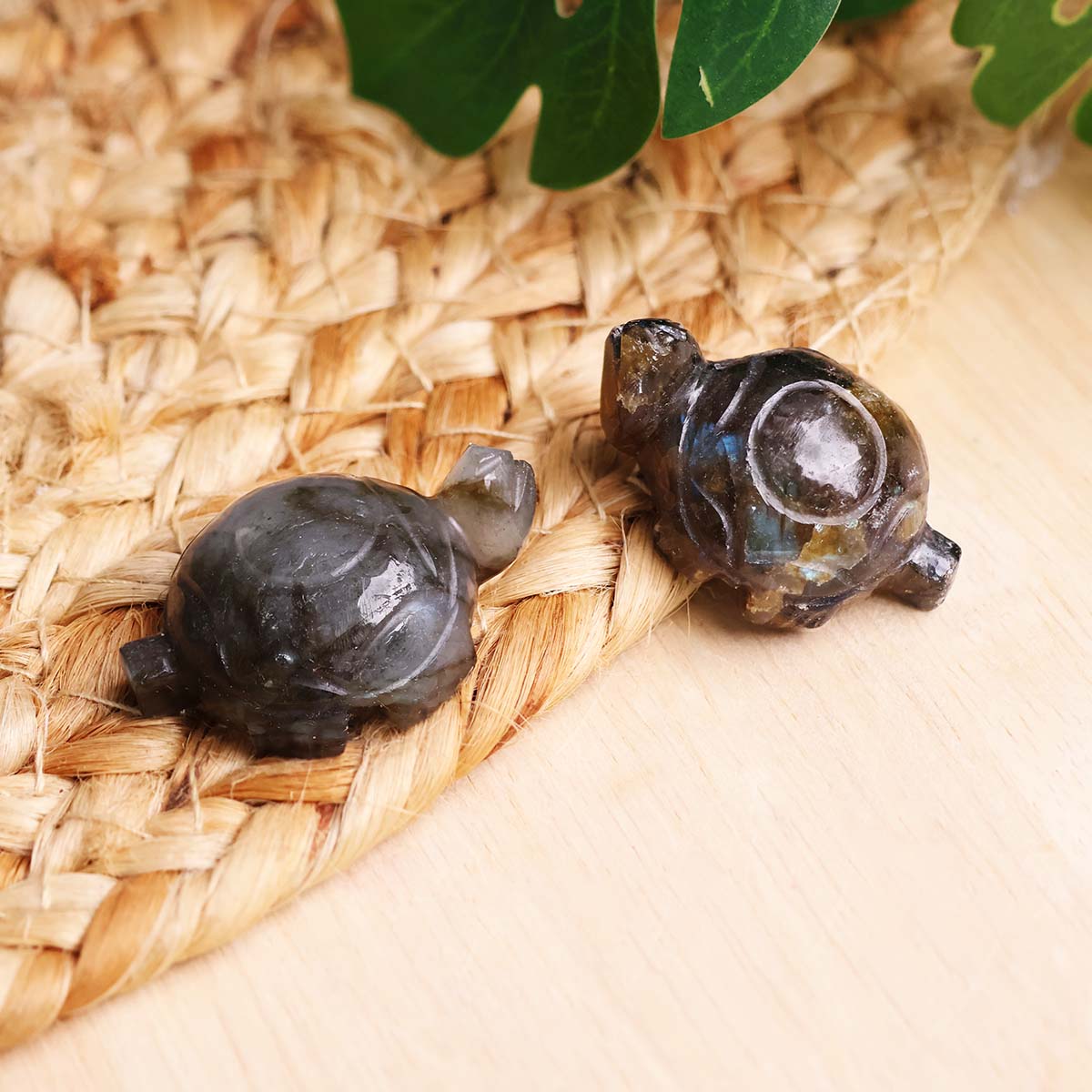 Labradorite Mini Tortoise