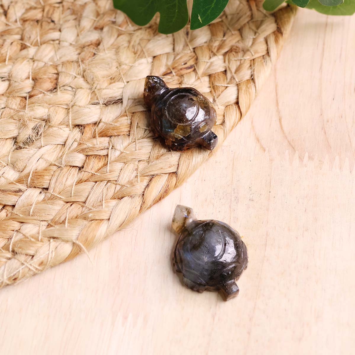 Labradorite Mini Tortoise