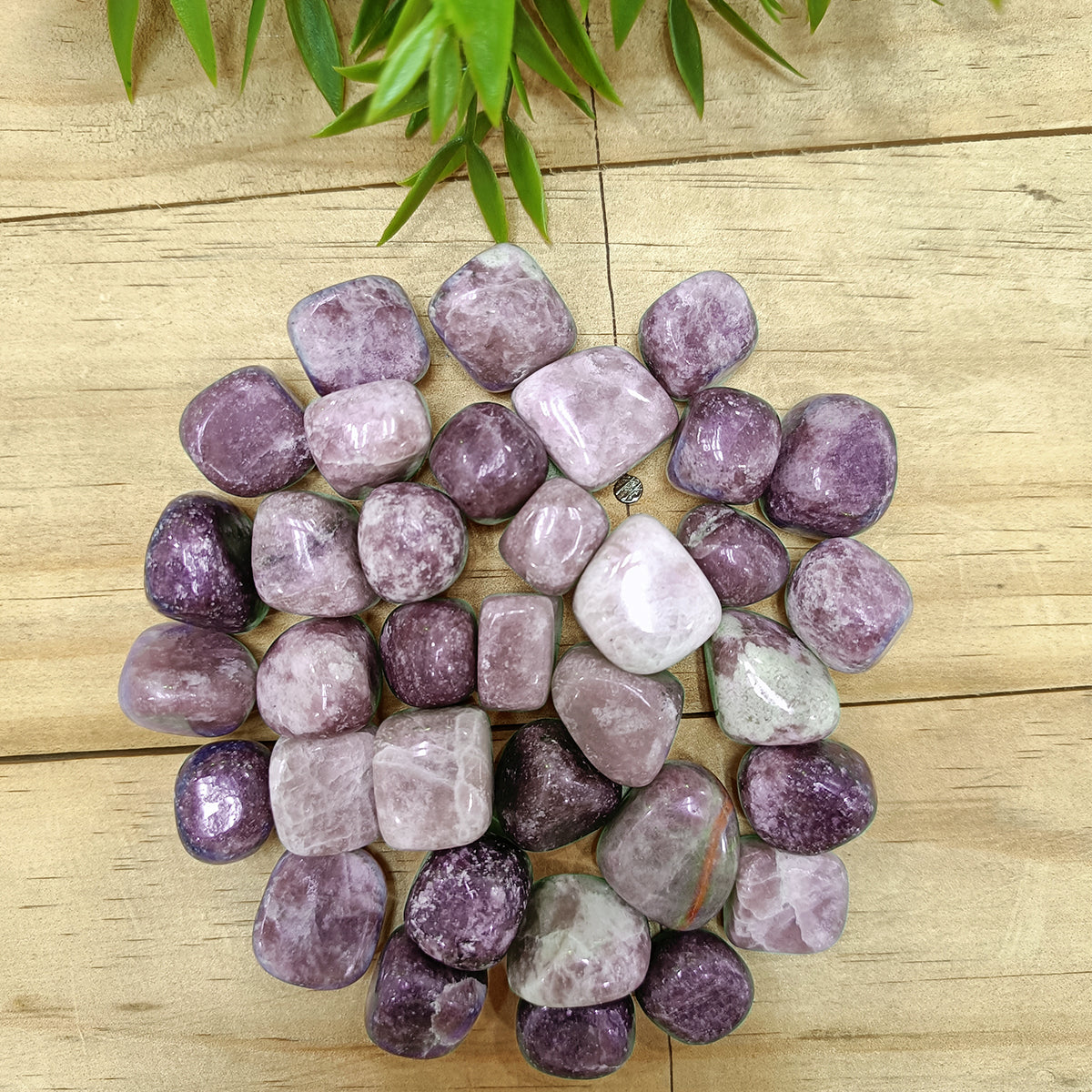 Lepidolite Tumble