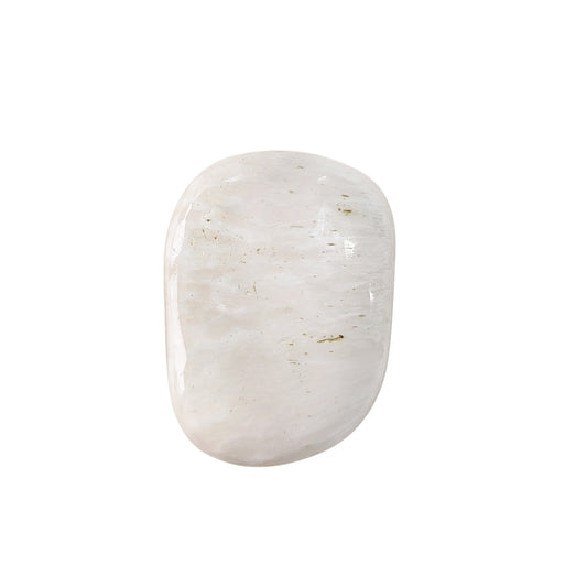 Scolocite Palm Stone