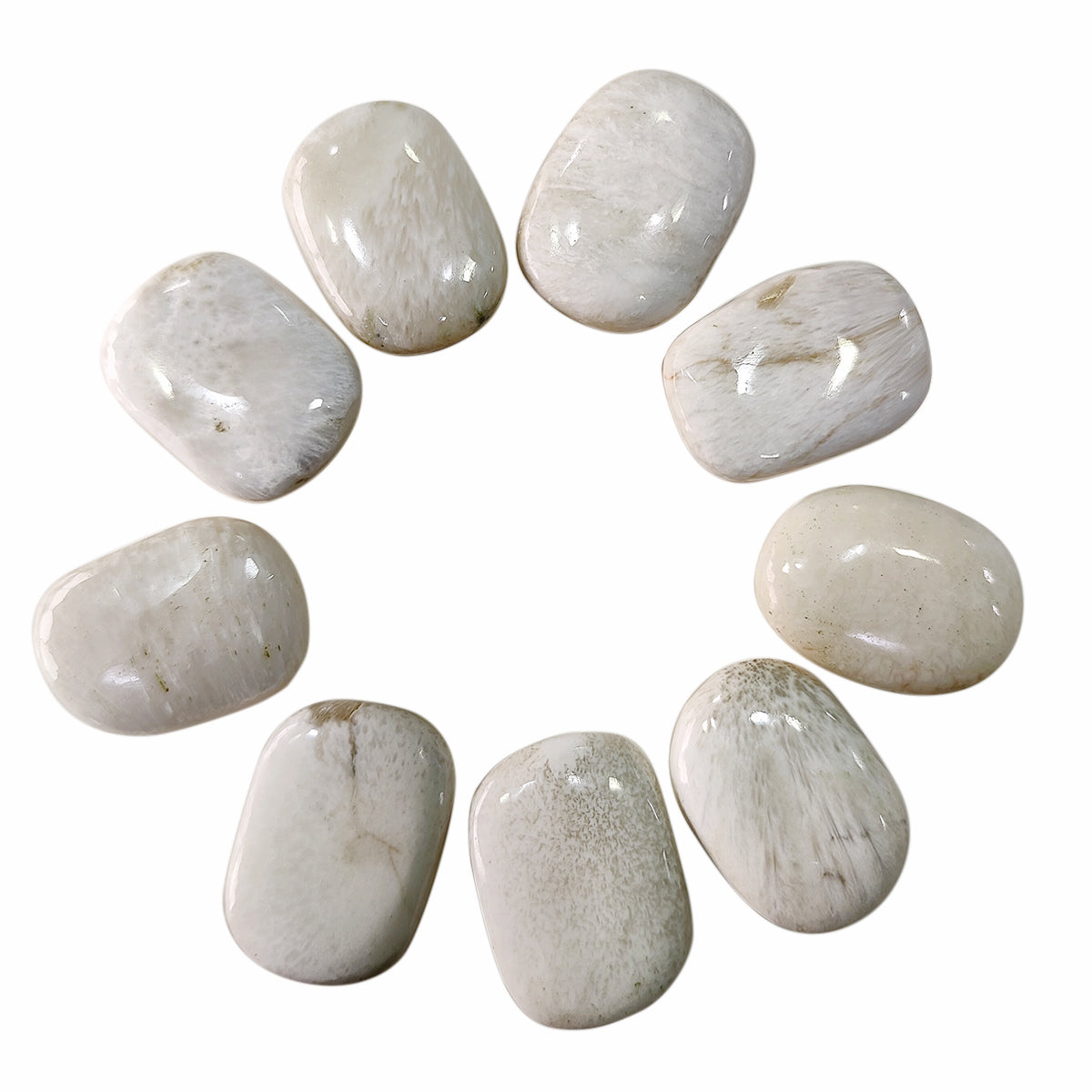 Scolocite Palm Stone