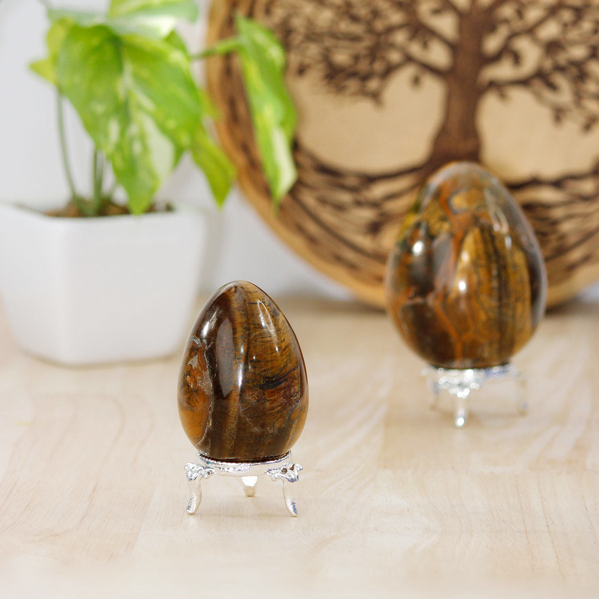 Tiger Eye Egg