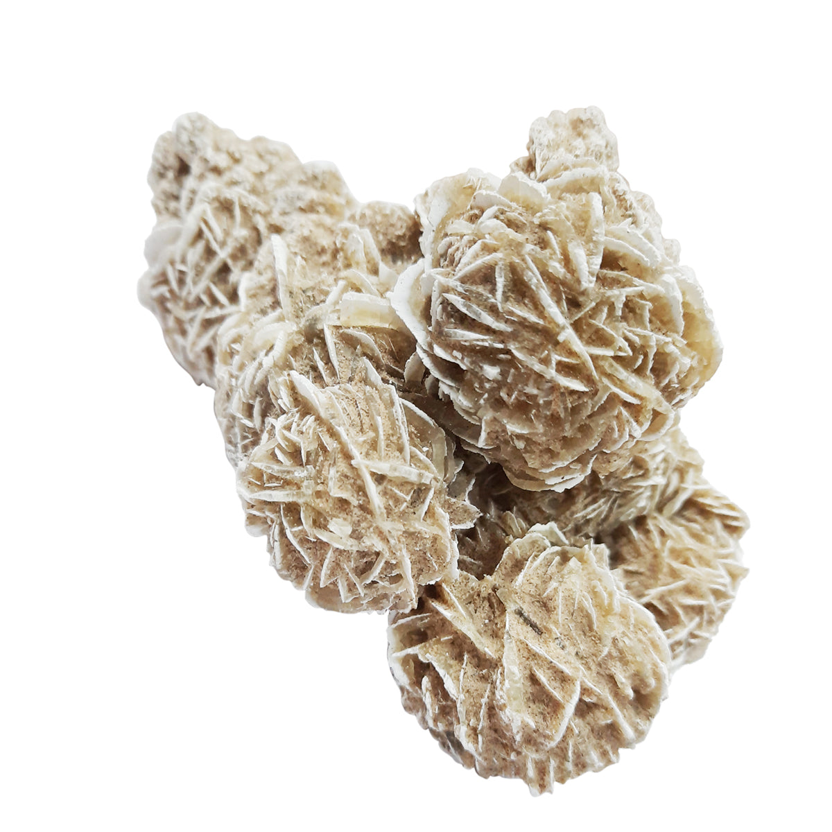 Selenite Desert Rose Clusters