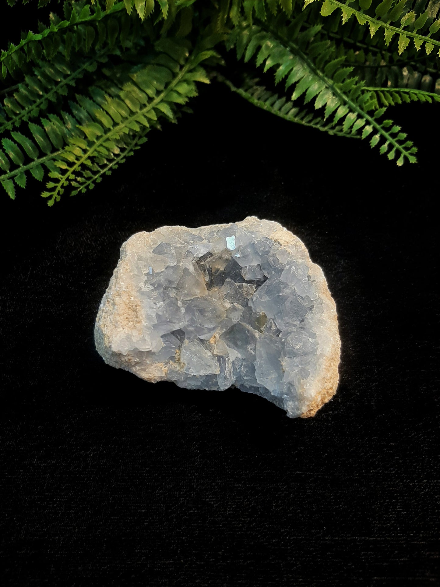 Celestite Cluster