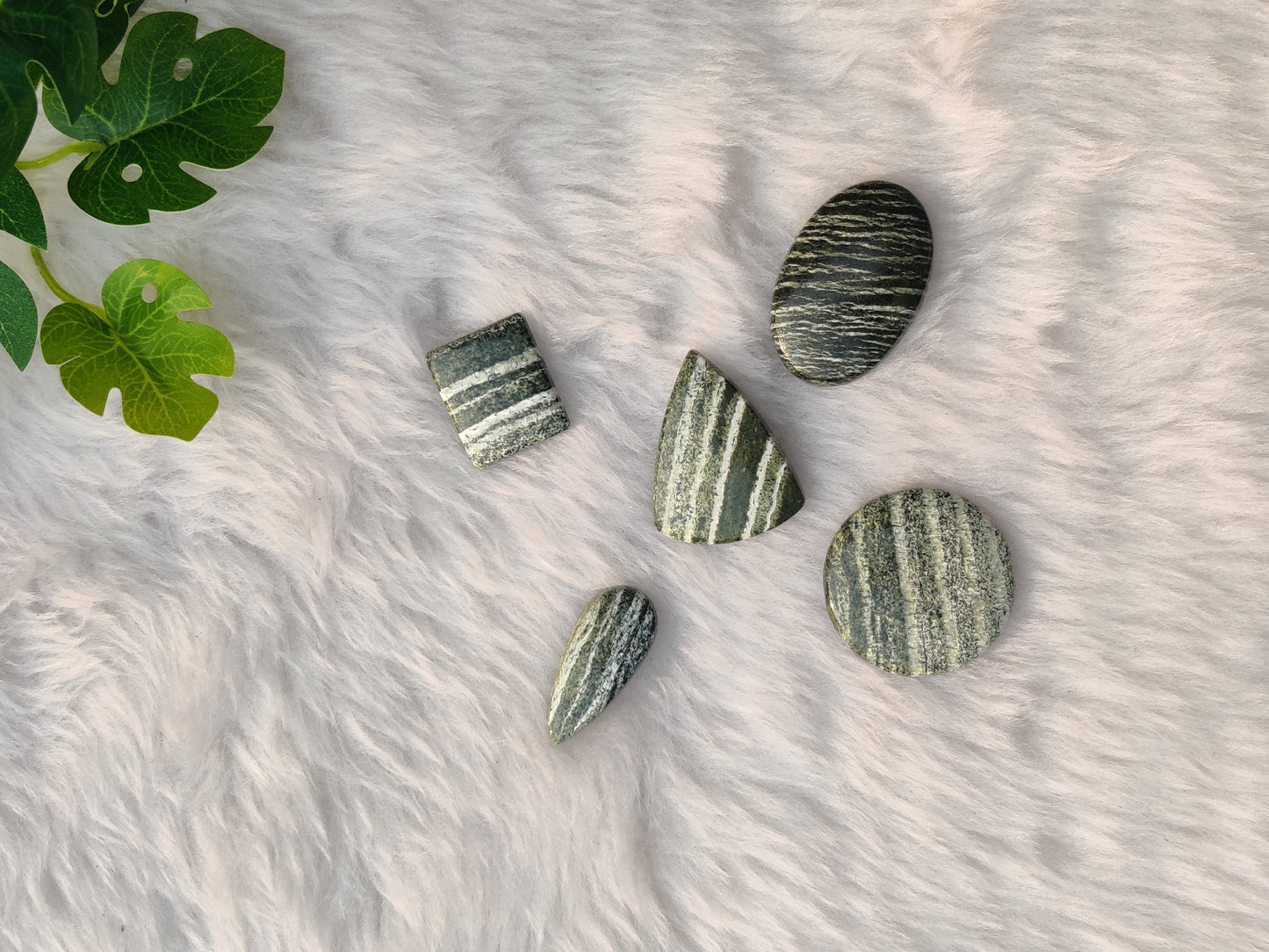 Green Zebra Cabochons