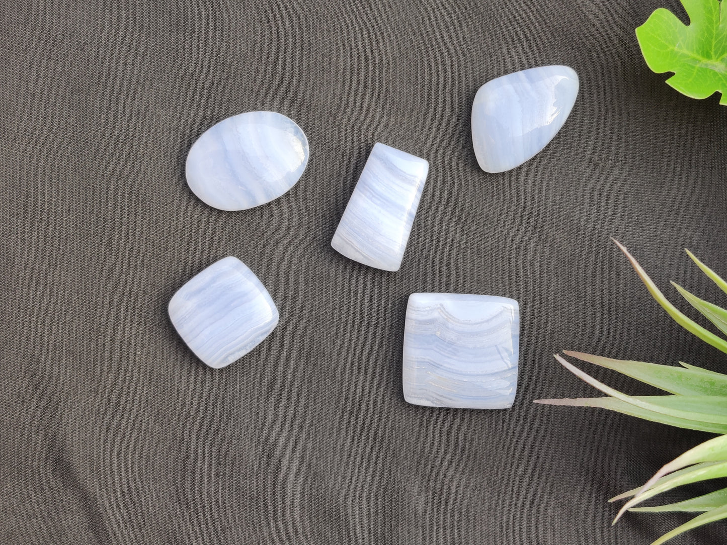 Blue Lace Agate Cabochons