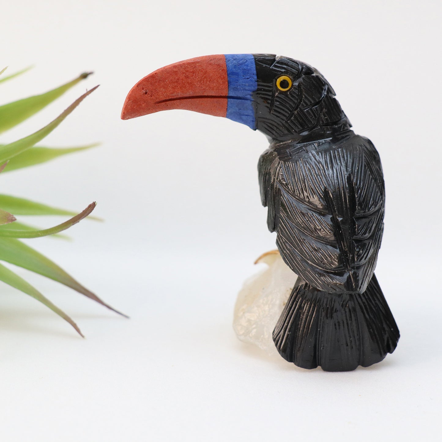 Toucan Decor