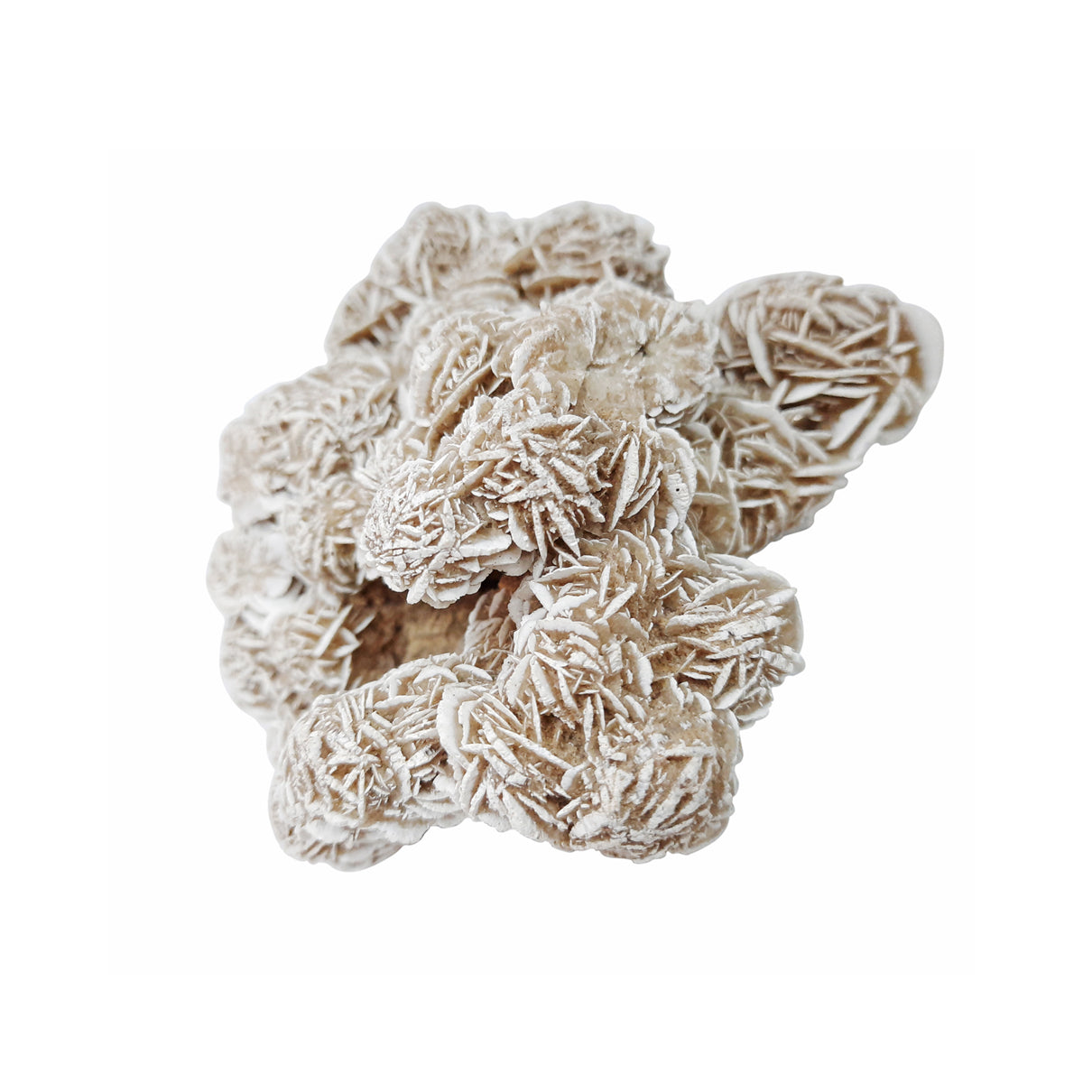 Selenite Desert Rose Clusters