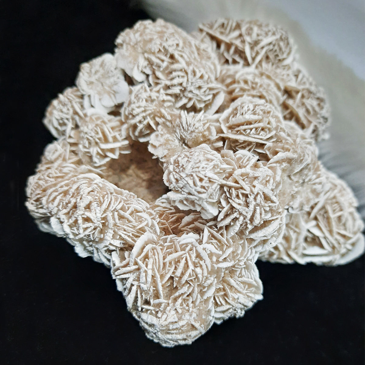 Selenite Desert Rose Clusters