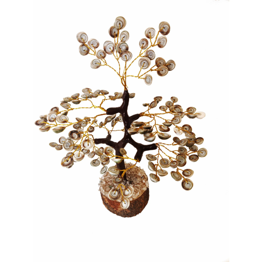 Gomti Chakra Tree- 500 Beads